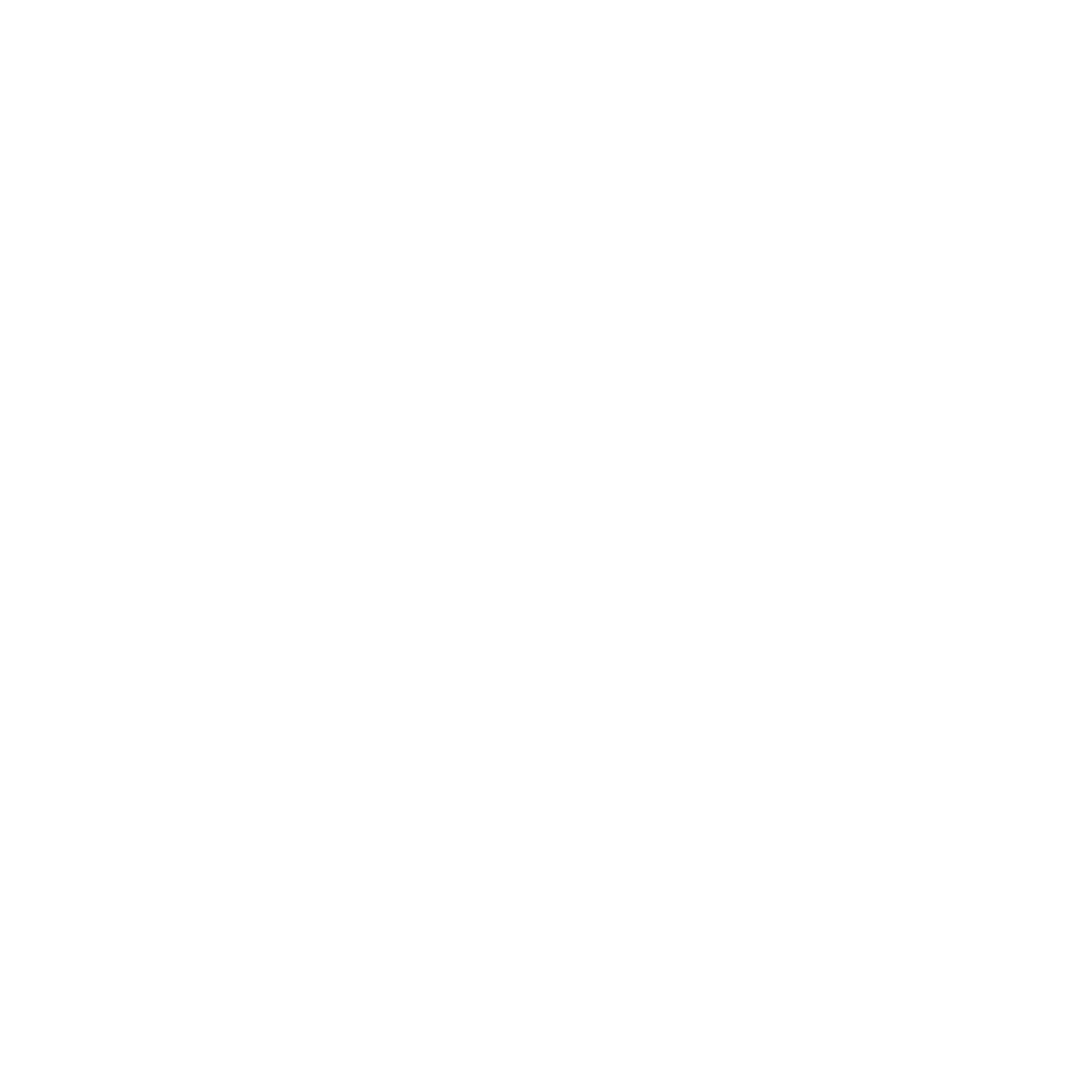 NWTN Motors